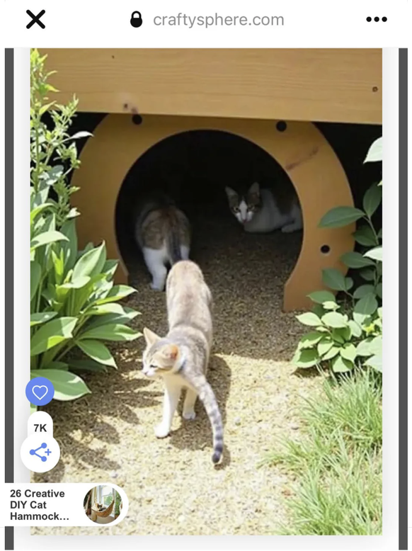 Shein und Co.: Photoshop- und KI-Fails