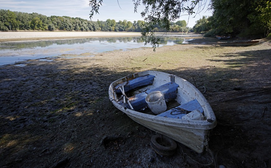 epa10105310 A part of an old Rhine arm with low water level at the Rhine river in Ketsch near Mannheim, Germany, 04 August 2022. The river level in Speyer has currently dropped to 211 centimetres. The ...