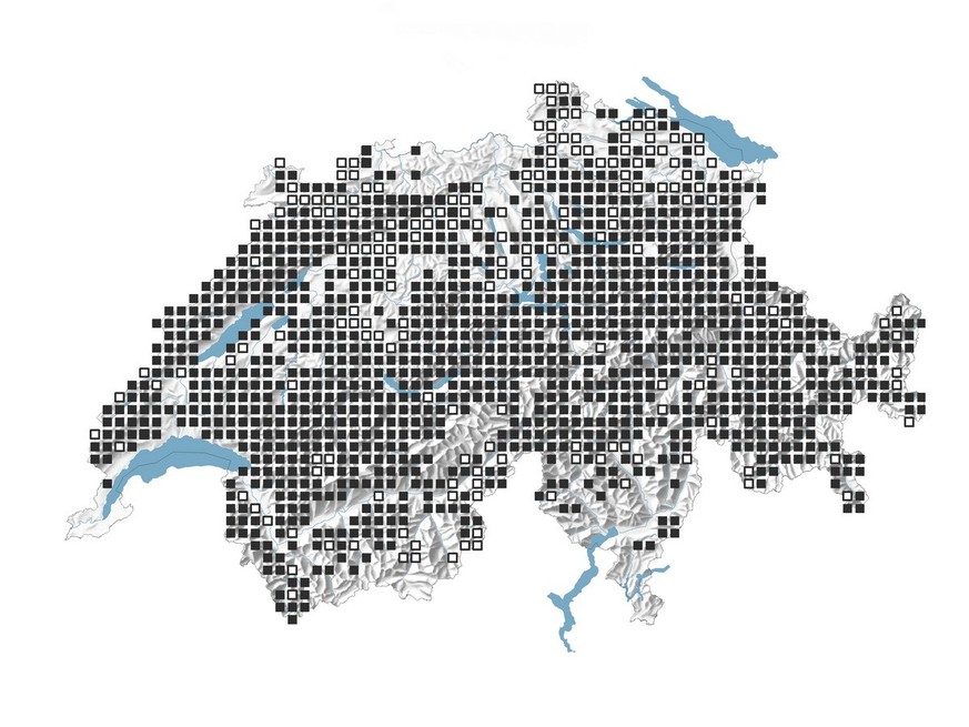 Verbreitung Waldeidechse