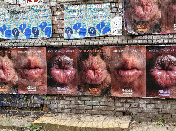 On dirait des anus mais ce sont des bouches