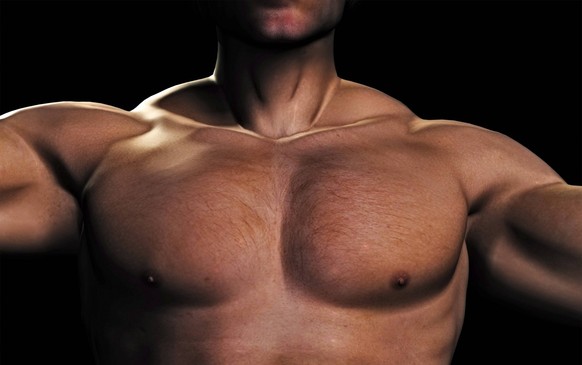Behaarter Maennerkoerper man torso BLWS503779 Copyright: xblickwinkel/McPHOTO/M.xGannx