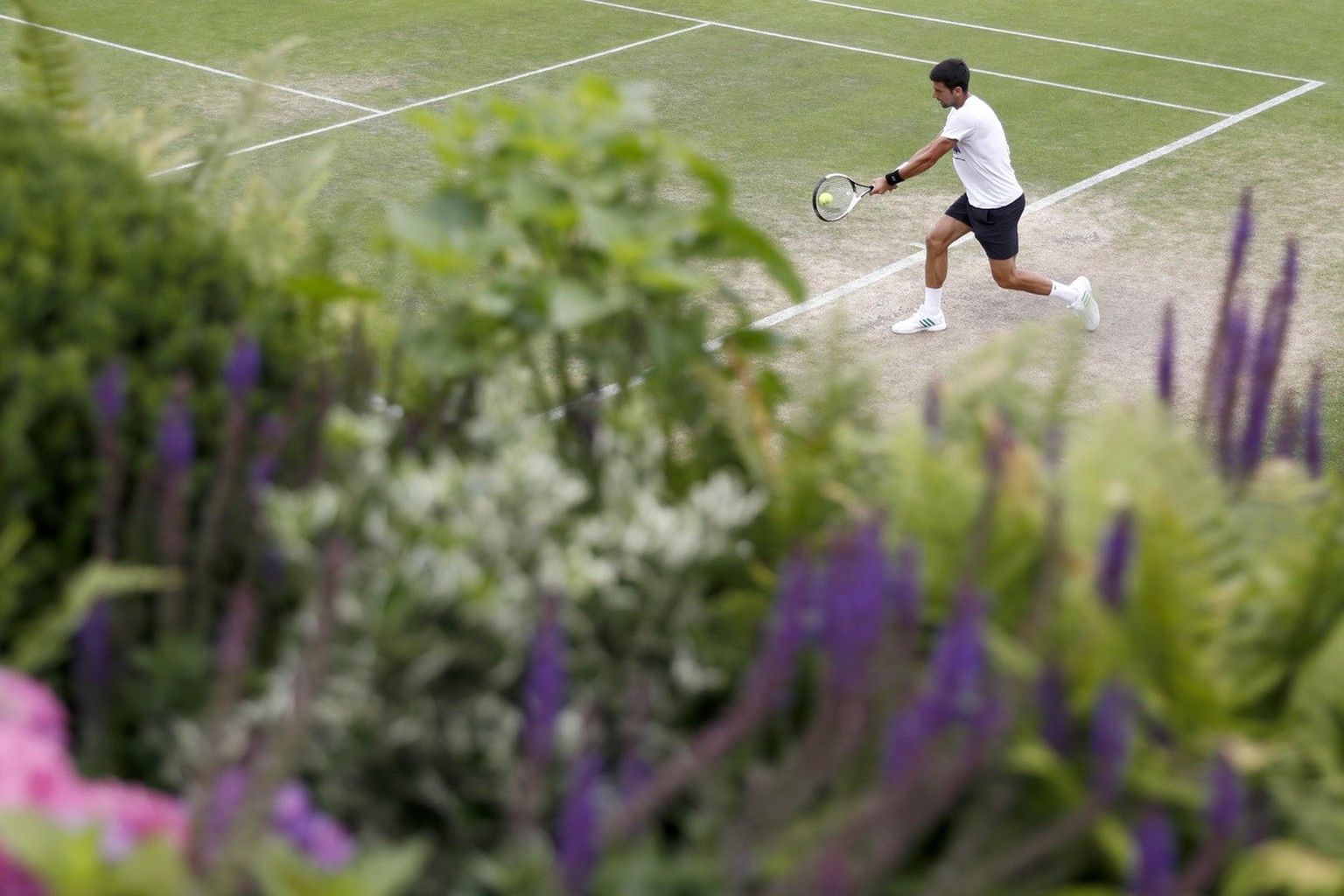 Wimbledon 2023: Djokovic en a marre d&#039;être épié à l&#039;entraînement. Novak Djokovic accuse le père de Carlos Alcaraz d&#039;avoir filmé son entraînement à Wimbledon.