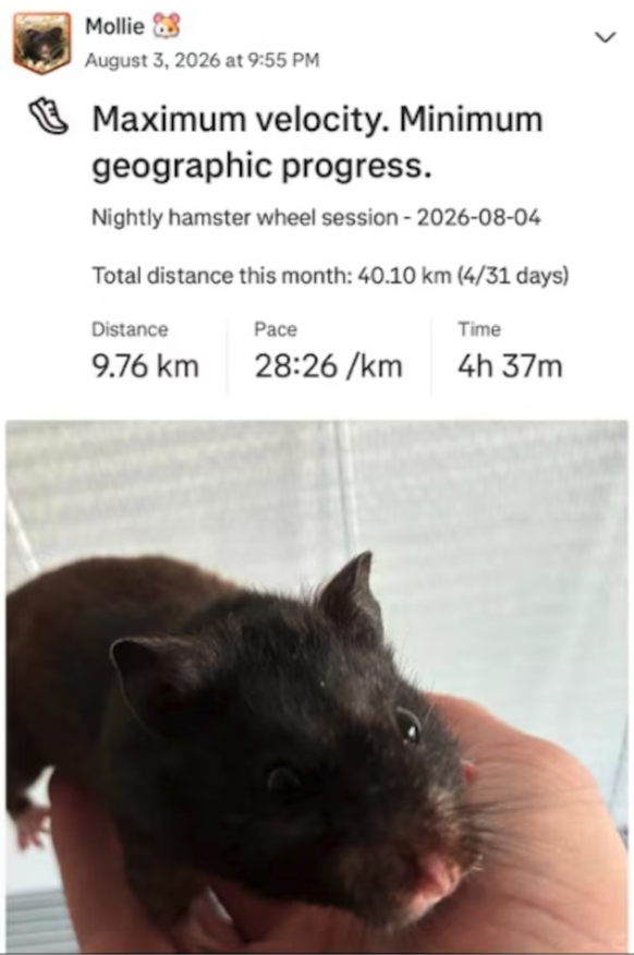 La page de Mollie sur Strava