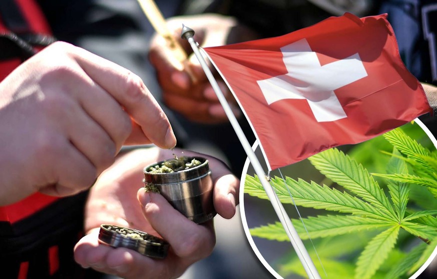 Consommation de cannabis en Suisse: les résultats étonnants d'une étude 