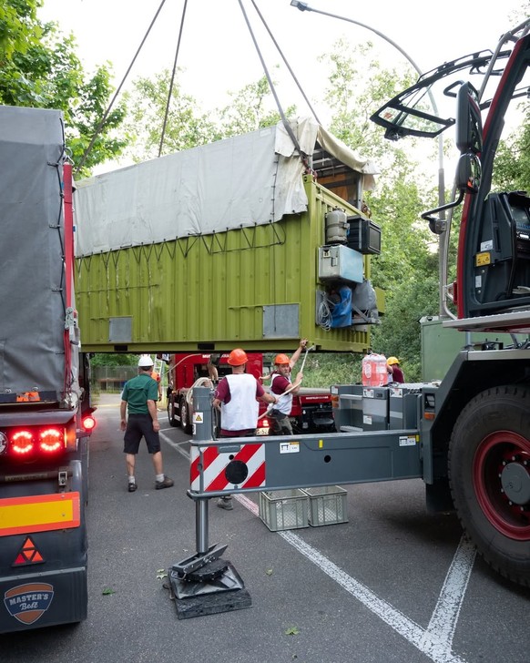 Trois éléphantes venues du zoo de Wuppertal en Allemagne ont rejoint mercredi le zoo de Bâle après plusieurs mois sans troupeau.