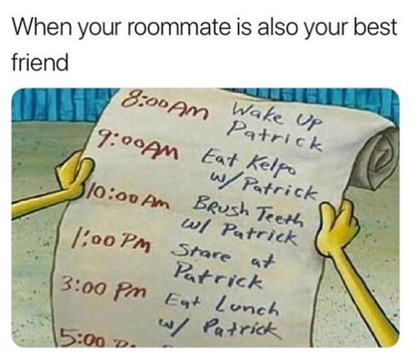 Memes, die das Zusammenleben mit einem Mitbewohner beschreiben