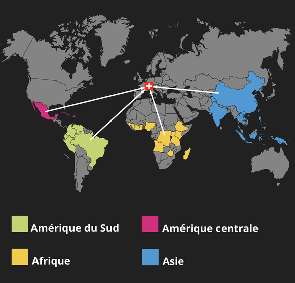 Importation de café dans le monde: graphique.