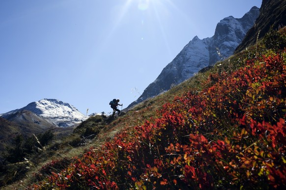 Nicole walks towards the cabine stands Bivouac du Dolent, during a beautiful autumn day, this Thursday, October 3, 2019, in the Val Ferret Region, above La Fouly, canton Valais, Switzerland. The Bivou ...