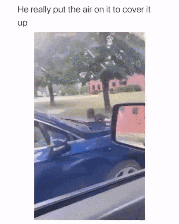 GIF animé