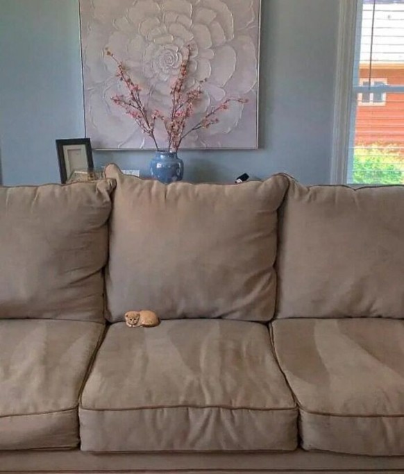 Cute News: Kleine Tiere