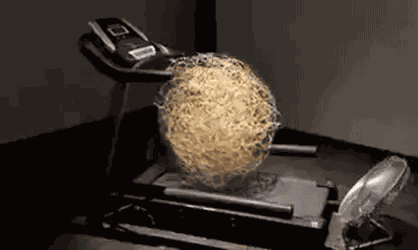 GIF animé