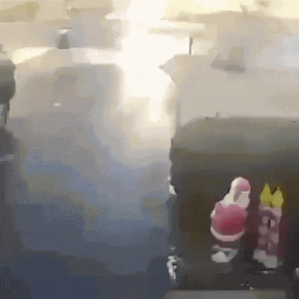 GIF animé
