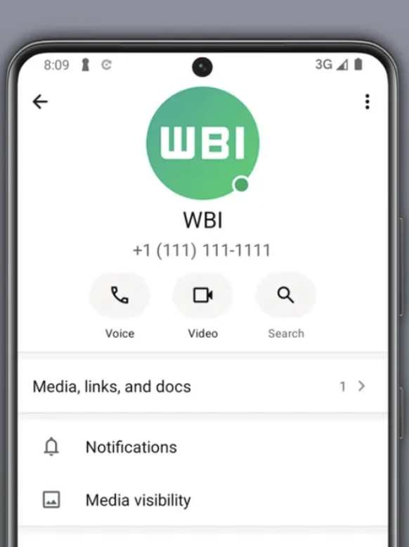 Un nouveau point vert arrive sur WhatsApp pour le statut en ligne