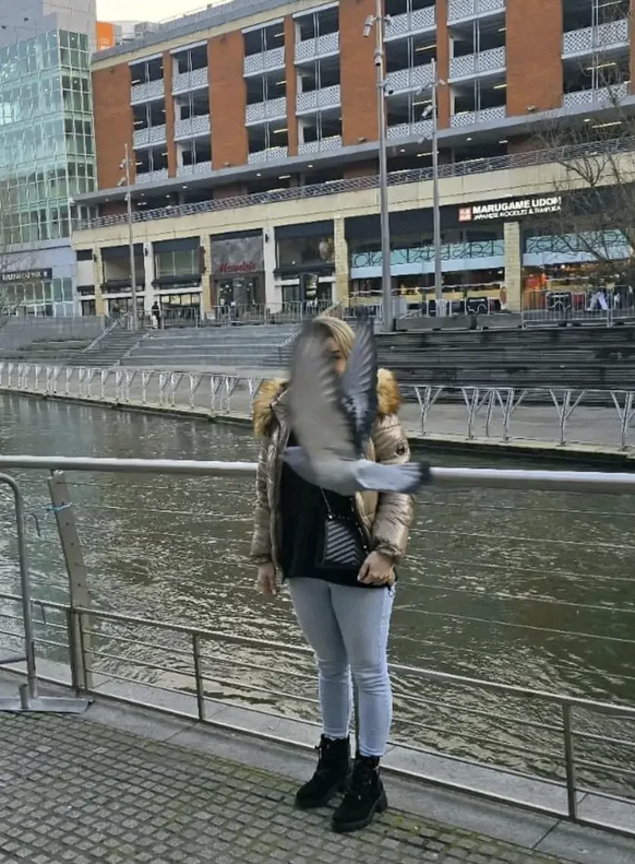 Die lustigsten fails der Woche: Taube auf Ferien-Foto