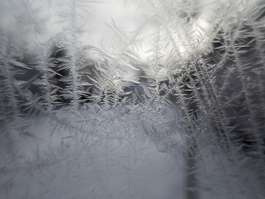 Météo: Pourquoi l&#039;hiver est si doux en ce début d&#039;année 2023