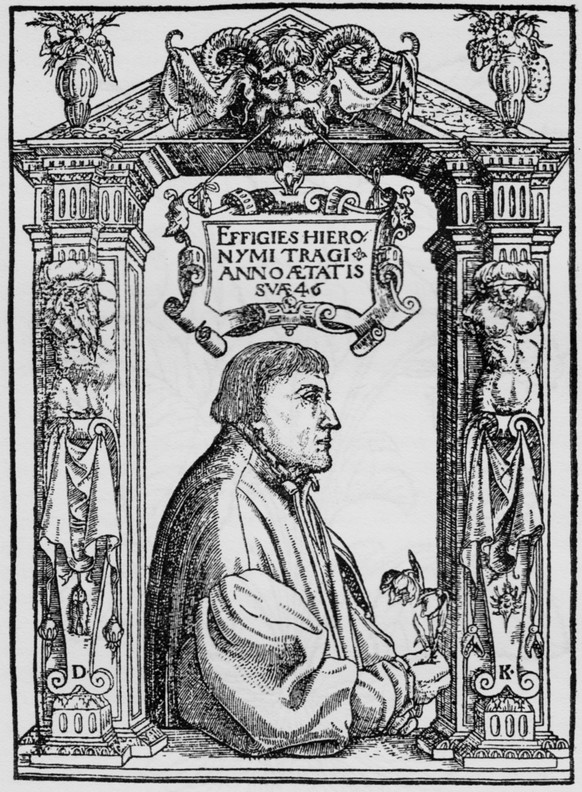 Hieronymus Bock.
https://de.wikipedia.org/wiki/Hieronymus_Bock#/media/Datei:Bock.png