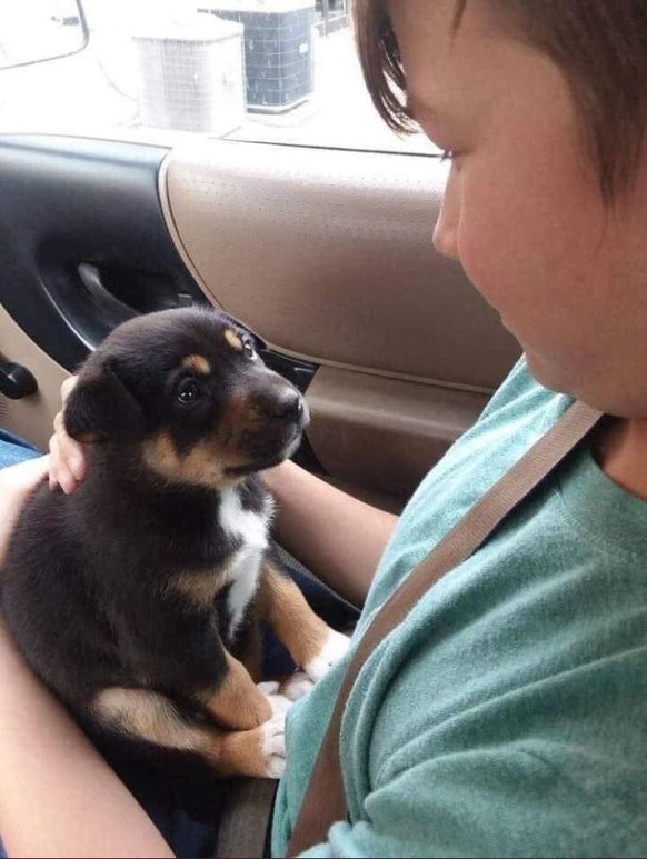 cute news tier hund

https://www.reddit.com/r/Awww/comments/1hsi5ys/i_found_this_puppy_in_the_street_and_adopted_him/