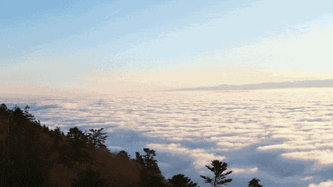 GIF animé