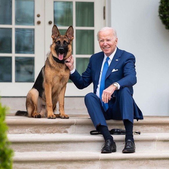 Sous ses airs de bon chien, Commander suscite une véritable terreur pour les agents chargés d'assurer la sécurité de son maître.