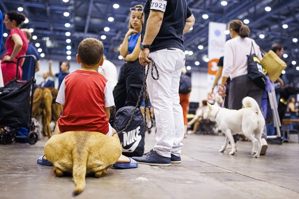A boy sits on his dog during the "world dog show 2023" competiton in Geneva, Switzerland, Saturday, August 26, 2023. Participants from 80 countires are presenting over 21'500 dogs from ...
