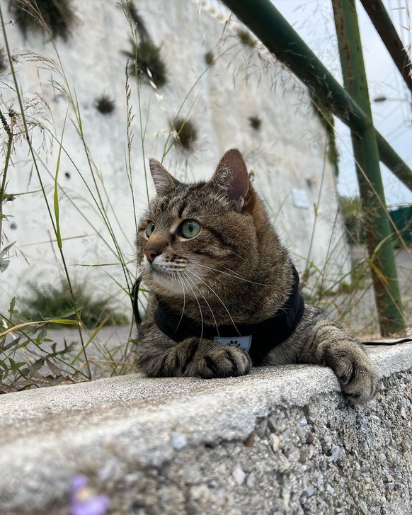 Il lui arrive de manifester un semblant de curiosité en découvrant les monuments architecturaux.