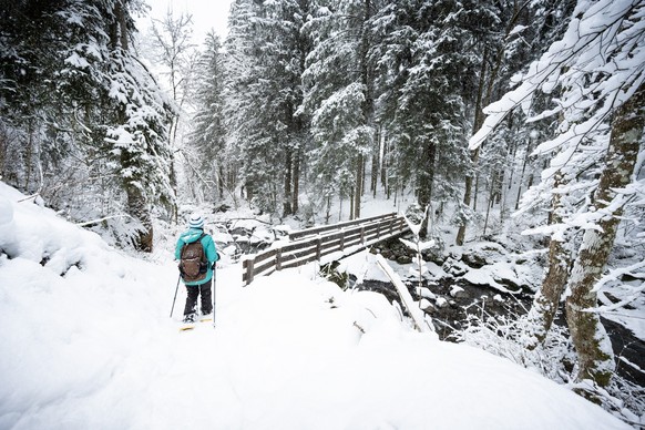 Balade en raquettes à travers la forêt enneigée.