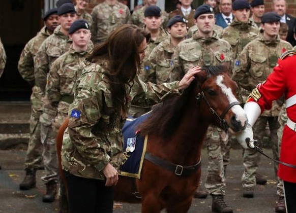 DEREHAM, ENGLAND - NOVEMBER 8: Catherine, Princess of Wales touches a pony as she visits The Queen's Dragoon Guards Regiment for the first time as their Colonel in Chief on November 8, 2023 in De ...