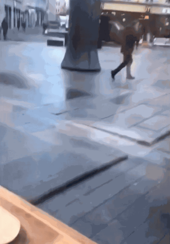 GIF animé