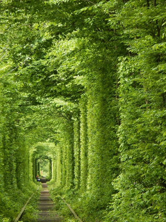 Tunnel der Liebe Ukraine