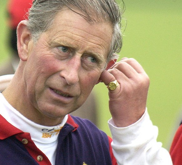 The Prince Of Wales, Prince William And The Sultan Of Brunei Take Part In The Dorchester Polo Trophy At The Cirencester Park Polo Club. . (Photo by Mark Cuthbert/UK Press via Getty Images)