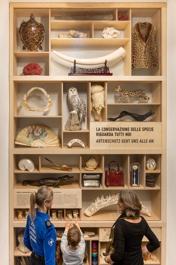 Organisée avec le concours de l’Office fédéral de la sécurité alimentaire et des affaires vétérinaires (OSAV), la nouvelle exposition «La conservation des espèces nous concerne tous» du Musée suisse d ...