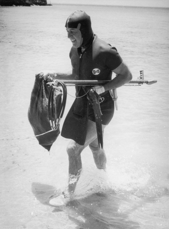 1966: Australian prime minister Harold Holt (1908 - 1967) spear-fishing at Portsea near Melbourne, Australia. Holt went missing while swimming the following year and was presumed drowned. (Photo by Ev ...
