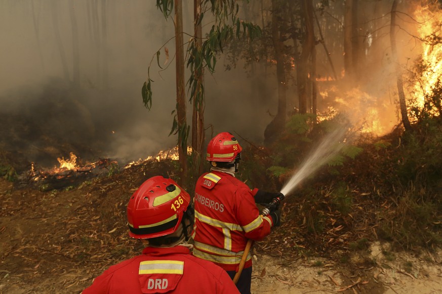 Firefighters work to extinguish a fire in an eucalyptus forest on the outskirts of Sever do Vouga, a town in northern Portugal that has been surrounded by forest fires for several days, Wednesday, Sep ...