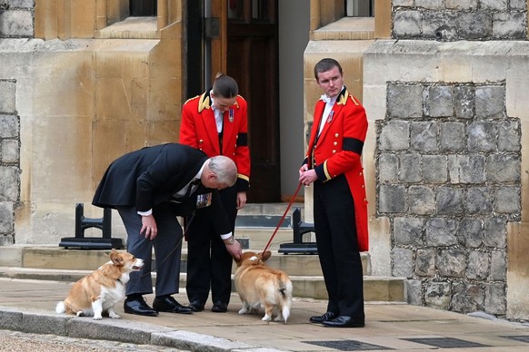 WINDSOR, ENGLAND - SEPTEMBER 19: Prince Andrew, Duke of York speaks with members of the Royal Household and plays with the Corgis on September 19, 2022 in Windsor, England. The committal service at St ...