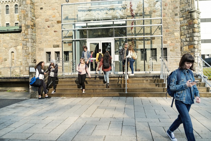Medium group of multi-ethnic students going in and out of University-College entrance. Some are sitting and standing on a small staircase on a sunny day. Horizontal full length shot with copy space.