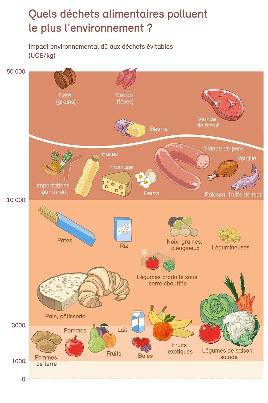 Unités de charge écologique (UCE) par kilogramme de déchet alimentaire évitable dans les ménages et la restauration. Plus la catégorie de denrée alimentaire se situe dans le haut de la figure, plus so ...