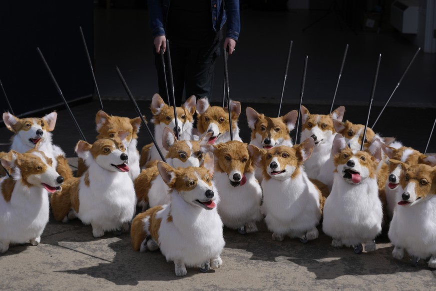 FILE - A group of corgi puppets made by puppet maker Louise Jones each one an individual and based on past and present Royal corgis, part of &#039;The Queen&#039;s Favourites&#039; for the Platinum Ju ...