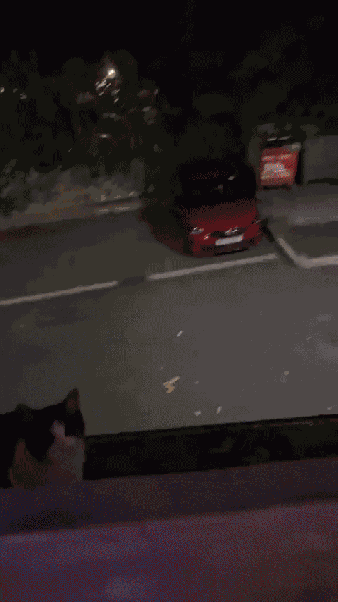 GIF animé