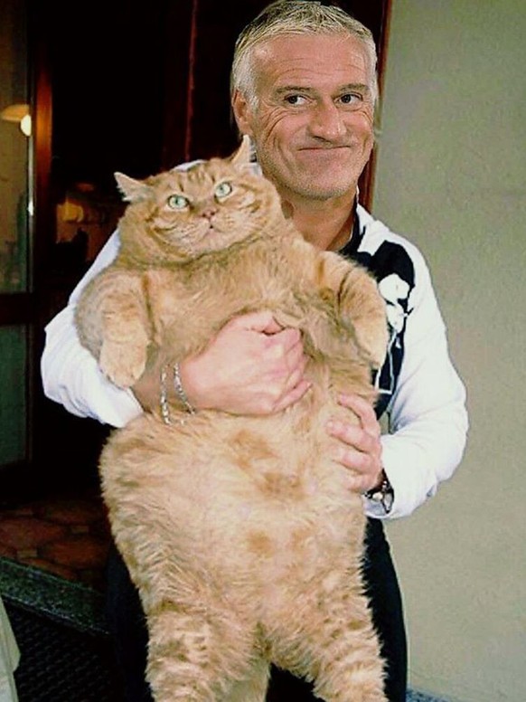 L&#039;équipe de France peut compter sur la chatte à Dédé.