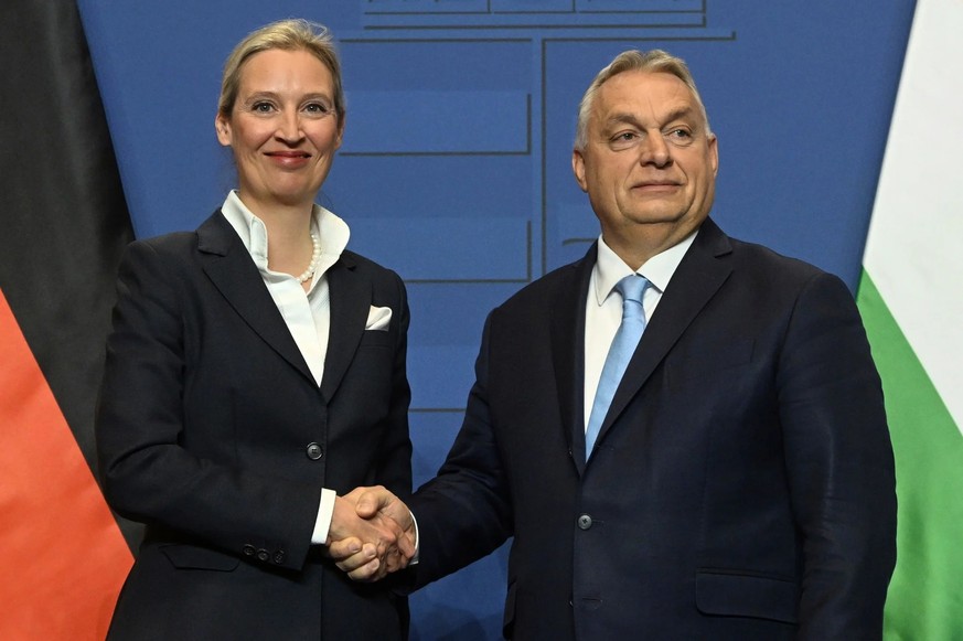 Alice Weidel, co-présidente de l'AfD, et Viktor Orban, lors d'une réunion au printemps 2025 à Budapest.