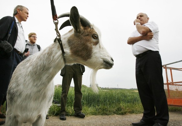 SVP Praesident Ueli Maurer, referiert im Beisein von Maskottchen &quot;Zottel&quot;, anlaesslich der Praesentation der neuen Feldwerbung der SVP, am Freitag, 4. Mai 2007, in Hoeri, Kanton Zuerich. (KE ...