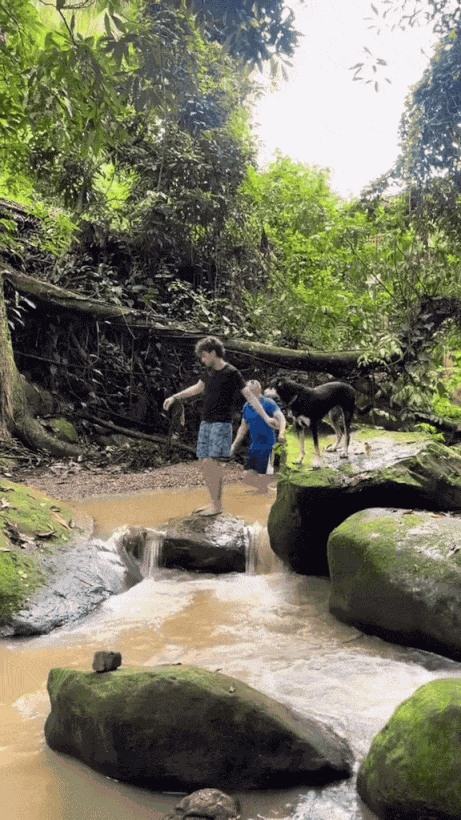 GIF animé