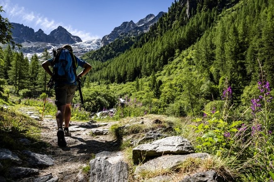 Marcher entre résineux, monts, rivières et feuillus: le rêve.
