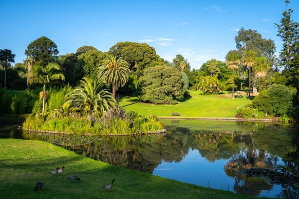 Les jardins botaniques de Melbourne, où aime se ressourcer Novak Djokovic.