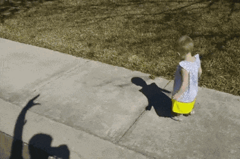 GIF animé