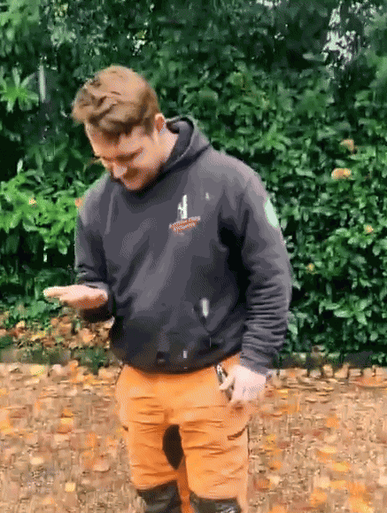 GIF animé