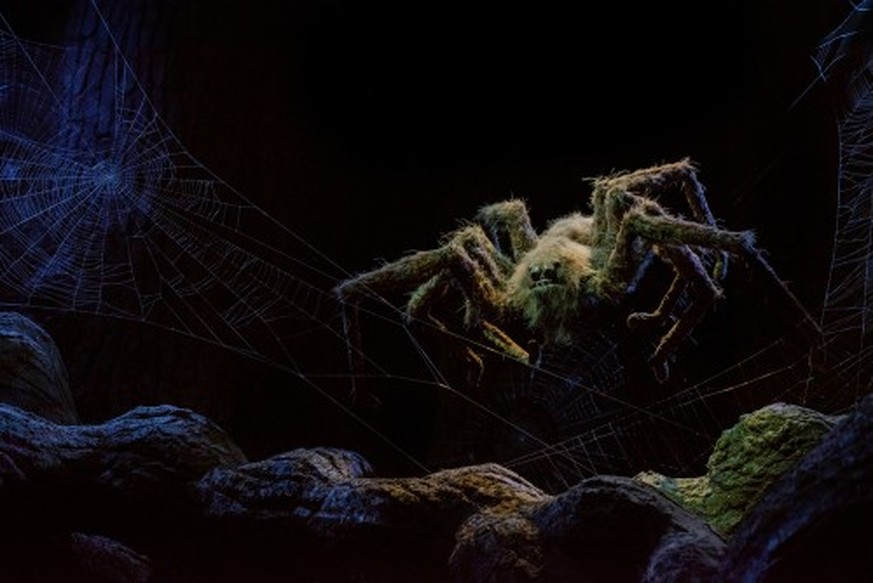 Aragog, l'araignée mâle de Hagrid.