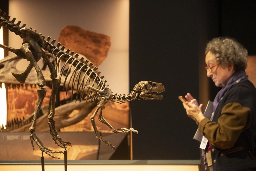 epa10938152 A visitor looks at the cellphone next to a life-size replica of a &#039;Herrerasaurus&#039; dinosaur during the opening of the exhibition &#039;Dinosaurs of Patagonia&#039; at CosmoCaixa c ...
