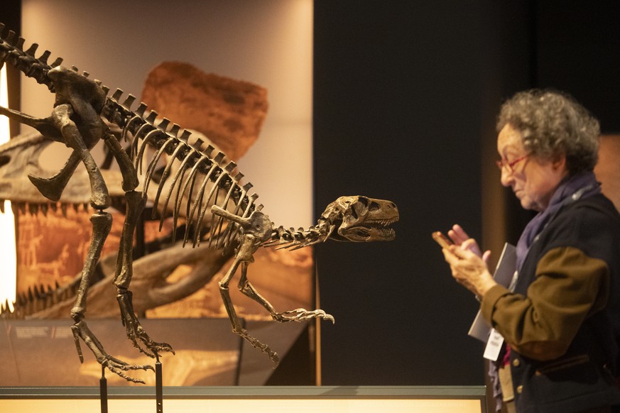 L'impact d'un astéroïde sur la côte du Mexique, il y a 66 millions d'années, avait causé l'extinction des dinosaures.