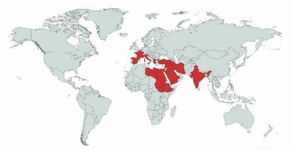 27 cartes du monde qui le montrent différemment